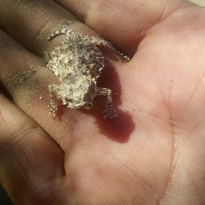 Meet your Posher, Jose